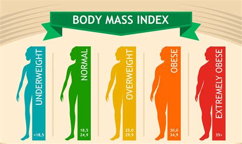 body mass index quizlet